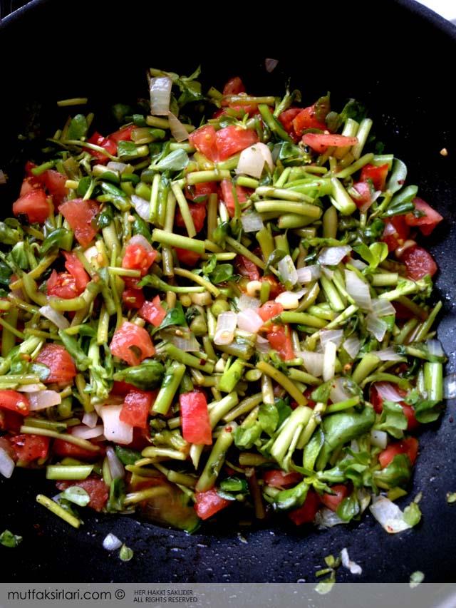 Zeytinyağlı Semizotu 