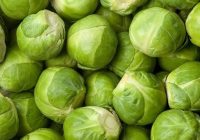 Zeytinyağlı Brüksel Lahanası: Tarifi