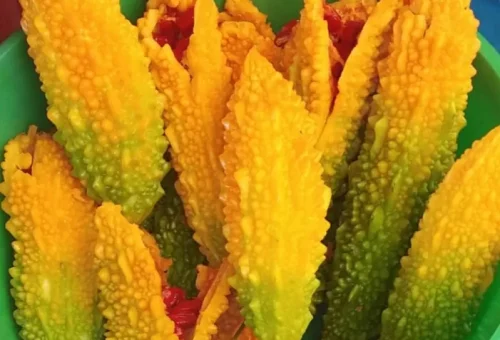 Zeytinyağlı Kudret Narı: Tarifi