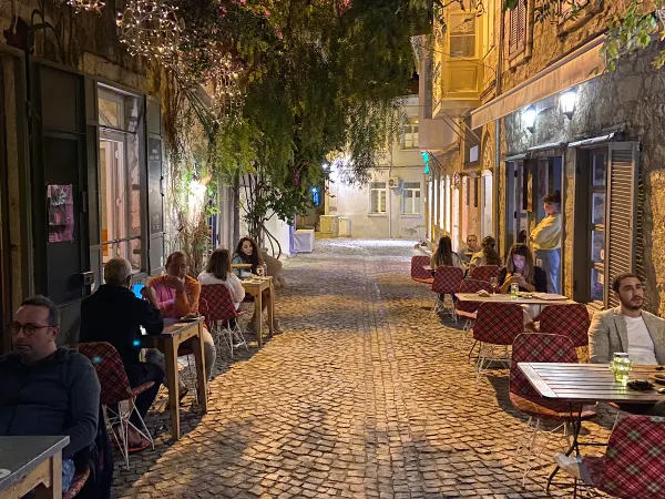 Kırmızı Ardıç Kuşu