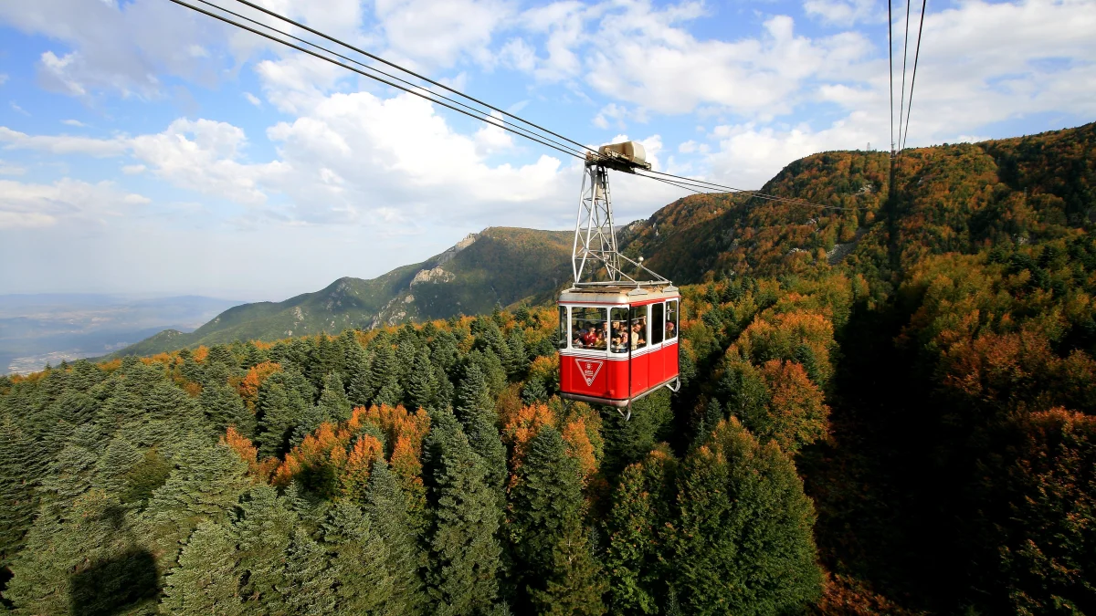Bursa