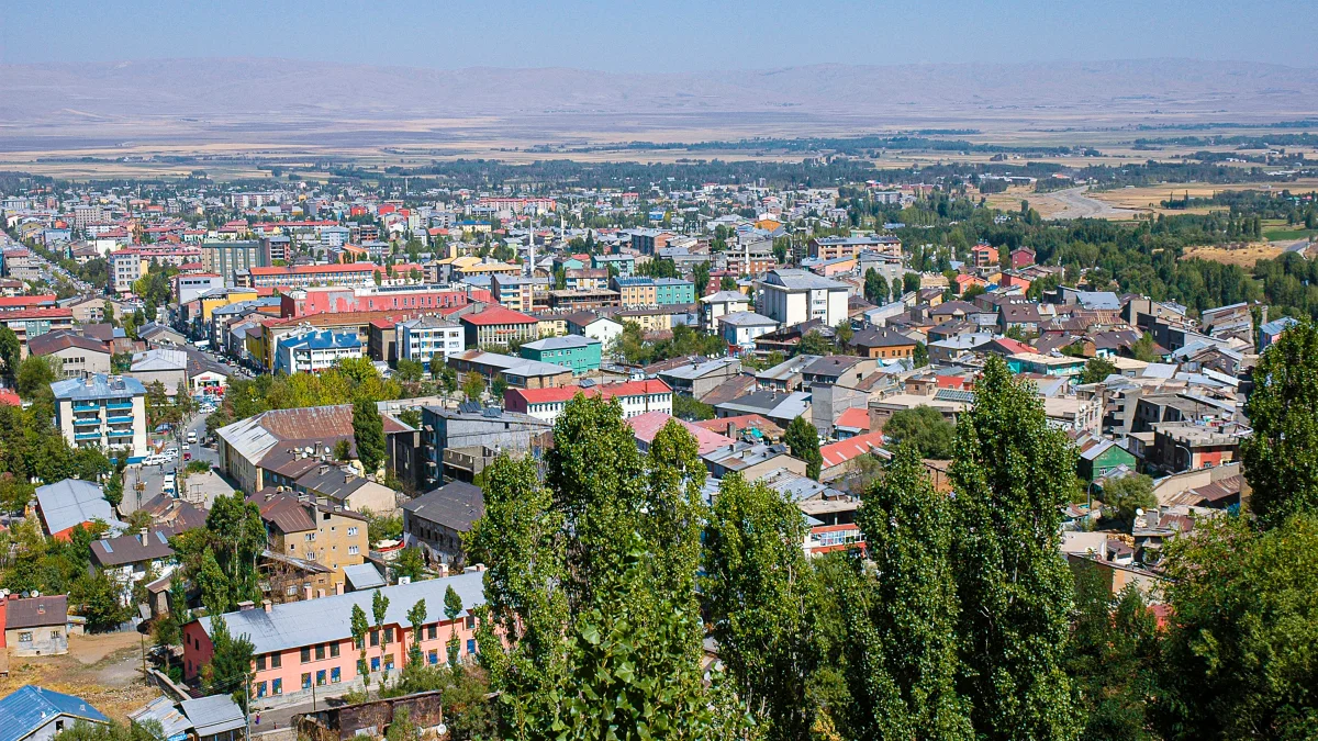 Muş