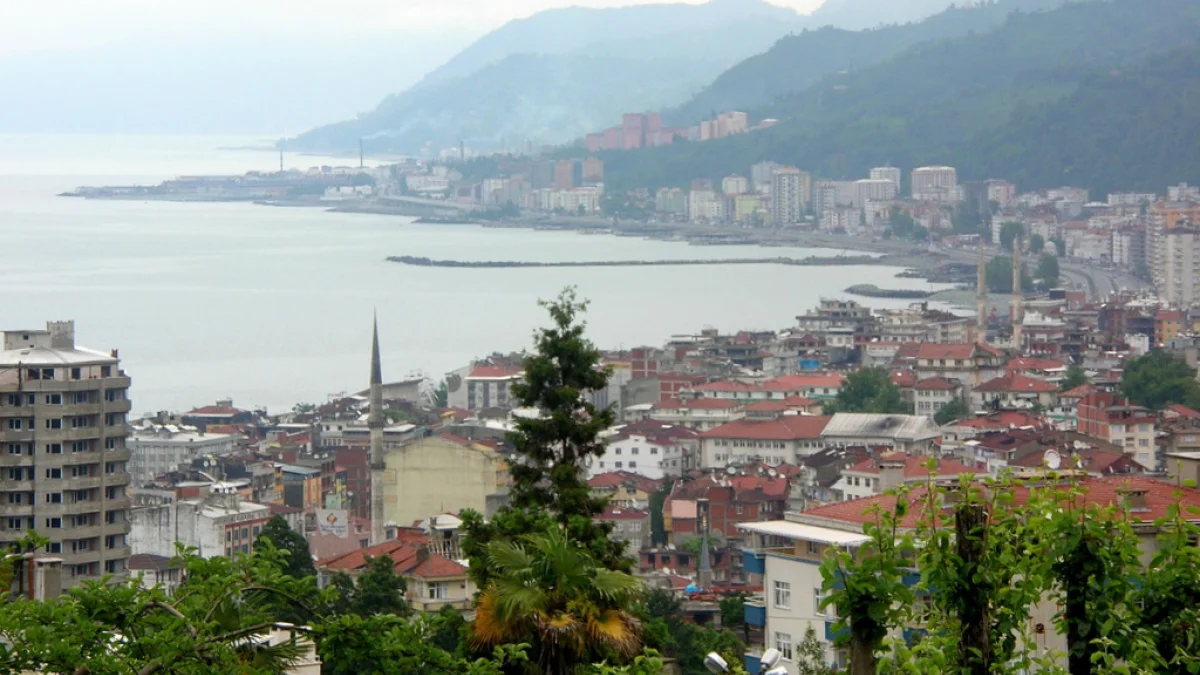Rize